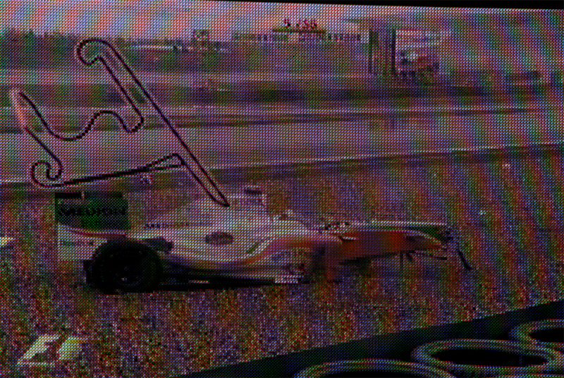 Illustration for article titled 2009 Chinese Grand Prix Gets Wet, Real Wet
